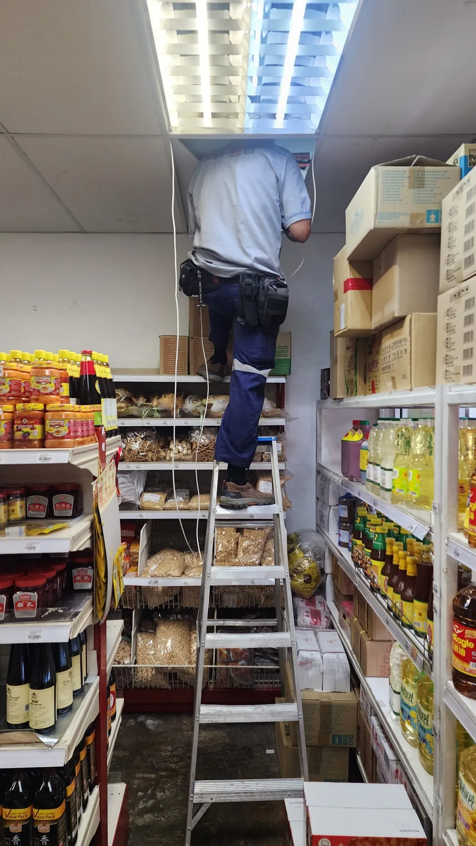 Technician works from a ladder between grocery shelves.